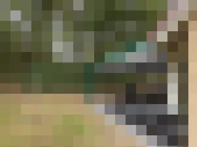 Westelbeersedijk 6 R 92 Diessen thumbnail 22