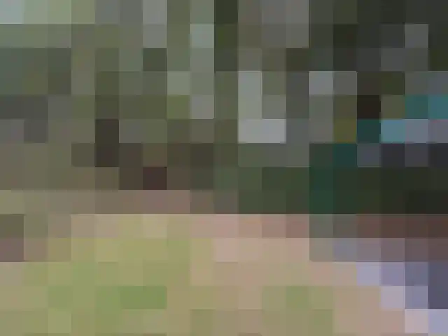 Westelbeersedijk 6 R 92 Diessen thumbnail 4