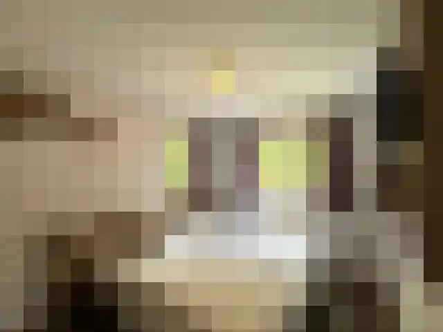 Westelbeersedijk 6 R 92 Diessen thumbnail 9