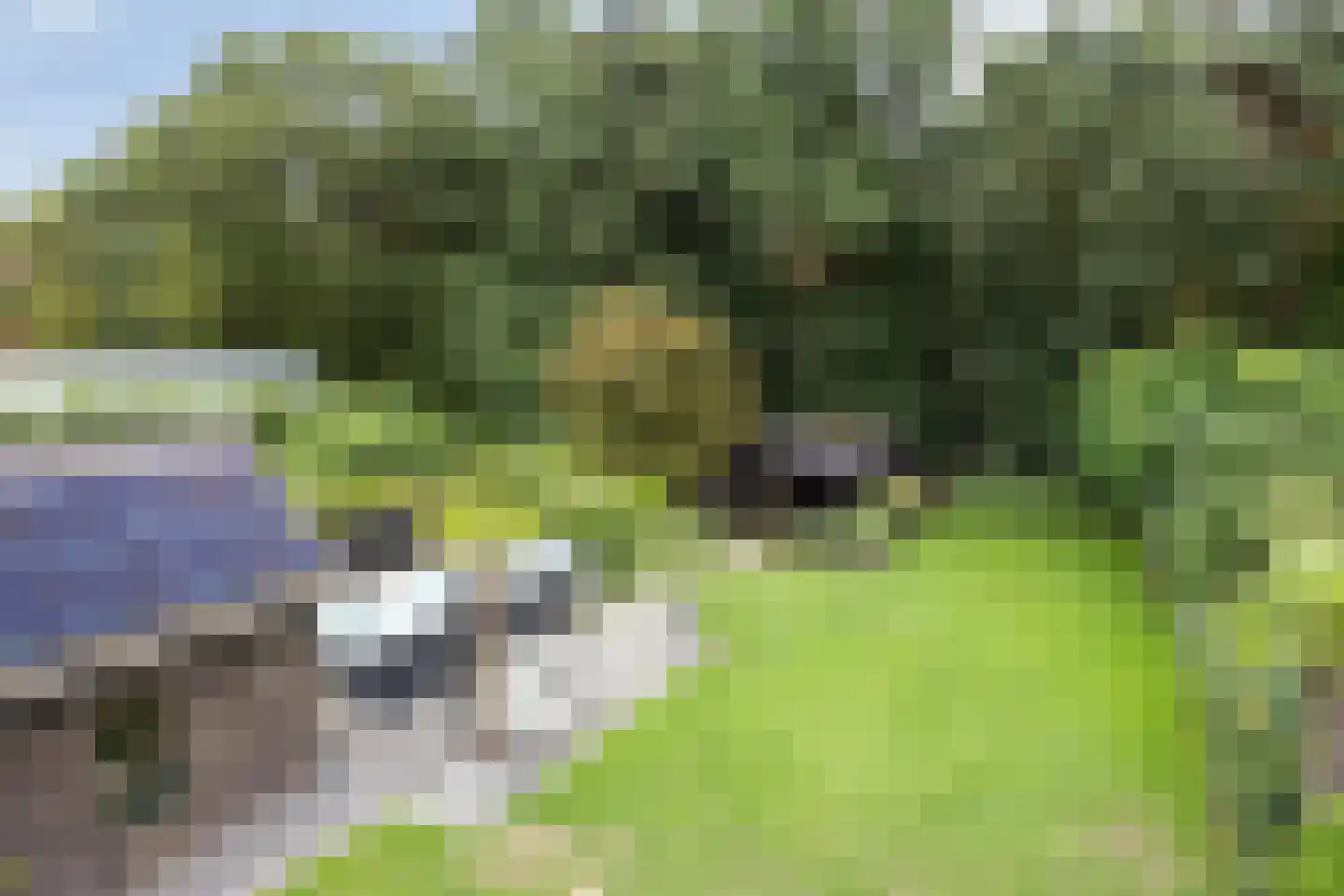 Westelbeersedijk 65 Oost West en Middelbeers thumbnail 50