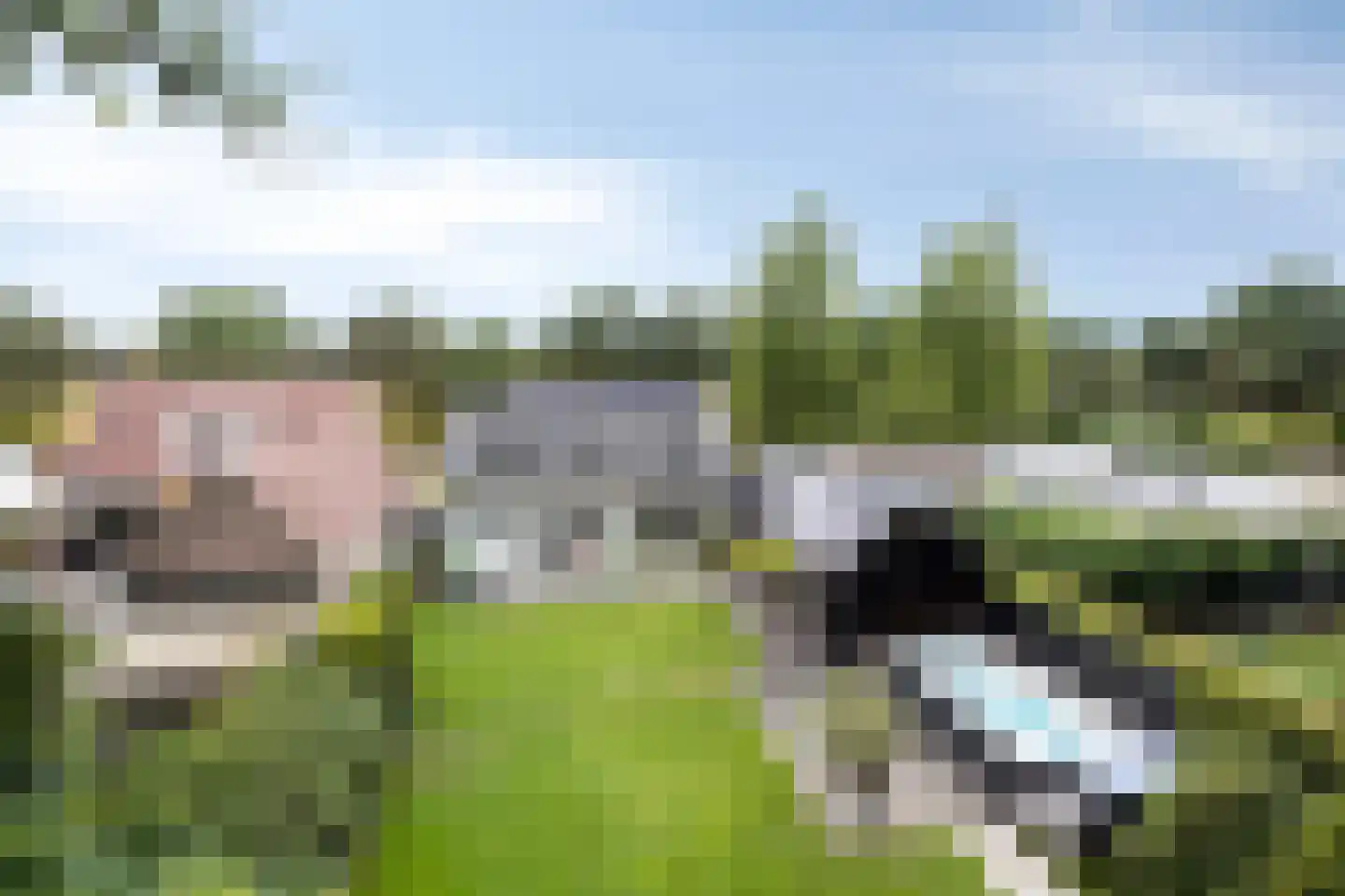 Westelbeersedijk 65 Oost West en Middelbeers thumbnail 53