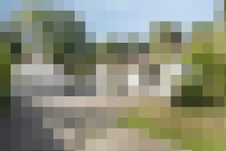 Westelbeersedijk 95 Oost West en Middelbeers thumbnail 10