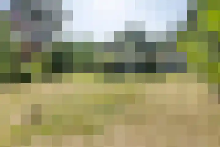 Westelbeersedijk 95 Oost West en Middelbeers thumbnail 39