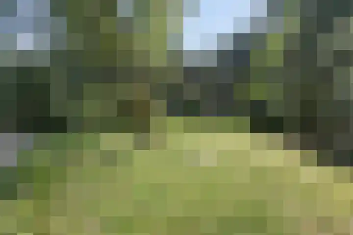 Westelbeersedijk 95 Oost West en Middelbeers thumbnail 4
