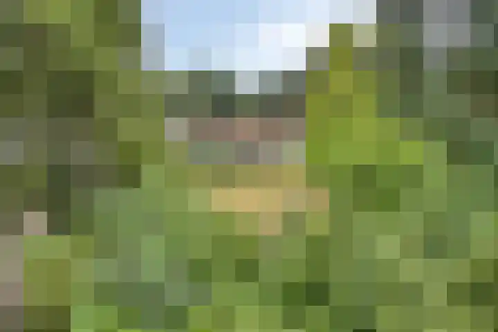 Westelbeersedijk 95 Oost West en Middelbeers thumbnail 42