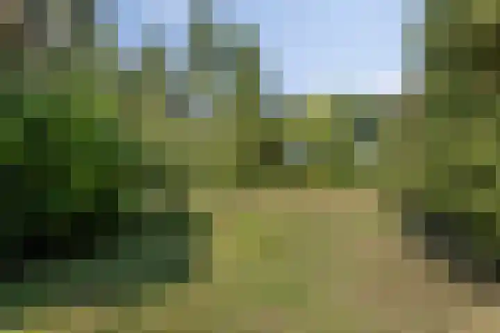 Westelbeersedijk 95 Oost West en Middelbeers thumbnail 51