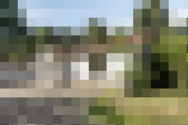 Westelbeersedijk 95 Oost West en Middelbeers thumbnail 53