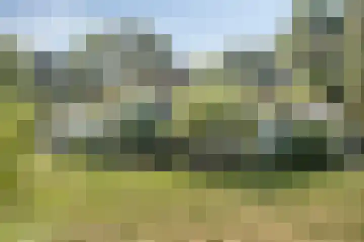 Westelbeersedijk 95 Oost West en Middelbeers thumbnail 57