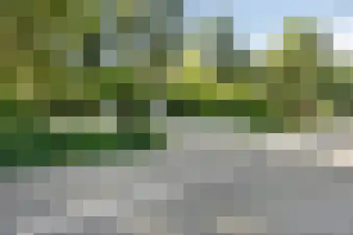 Westelbeersedijk 95 Oost West en Middelbeers thumbnail 6
