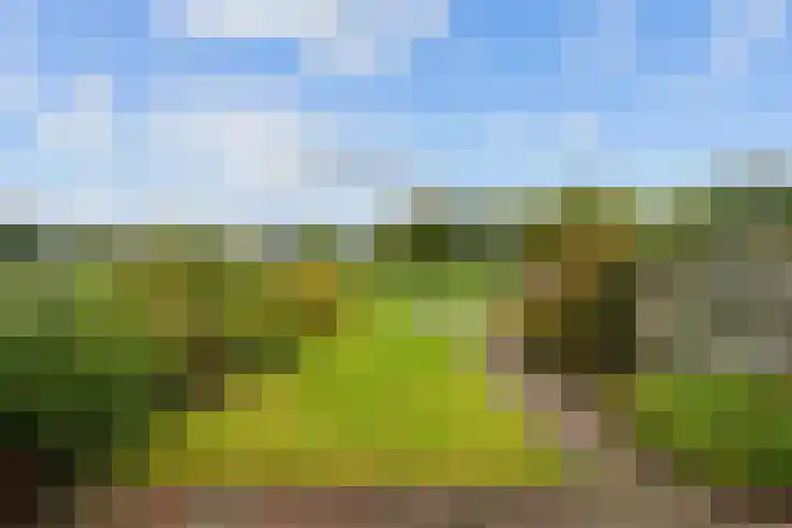 Westelijk Achterom 3 Tzum thumbnail 22