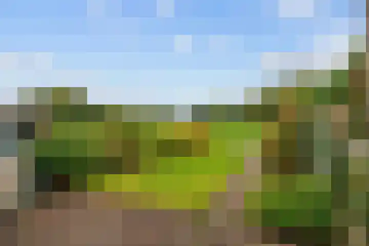 Westelijk Achterom 3 Tzum thumbnail 23