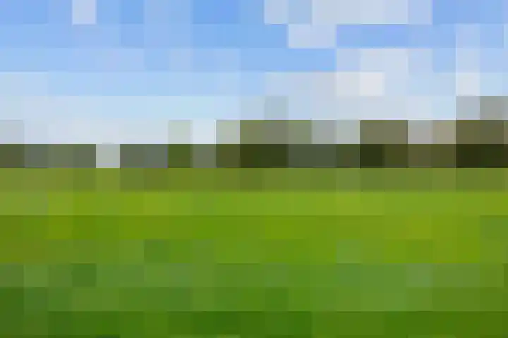 Westelijk Achterom 3 Tzum thumbnail 24