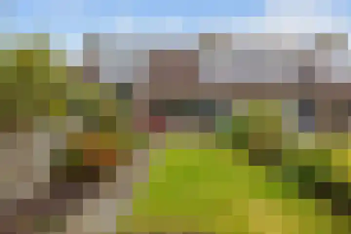 Westelijk Achterom 3 Tzum thumbnail 25
