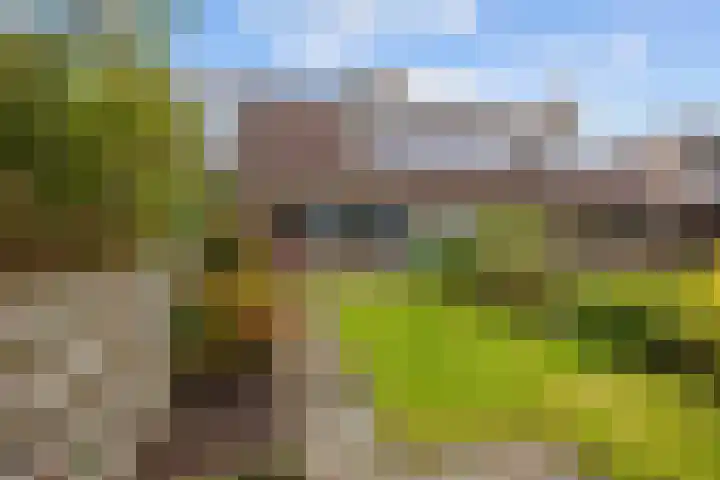 Westelijk Achterom 3 Tzum thumbnail 26