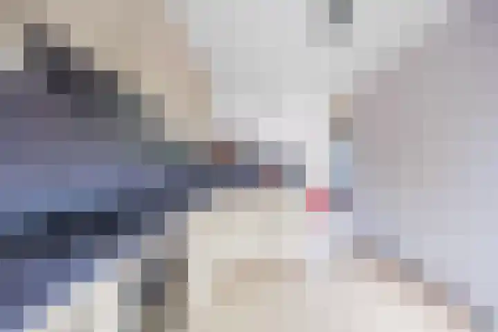 Westelijk Achterom 3 Tzum thumbnail 32