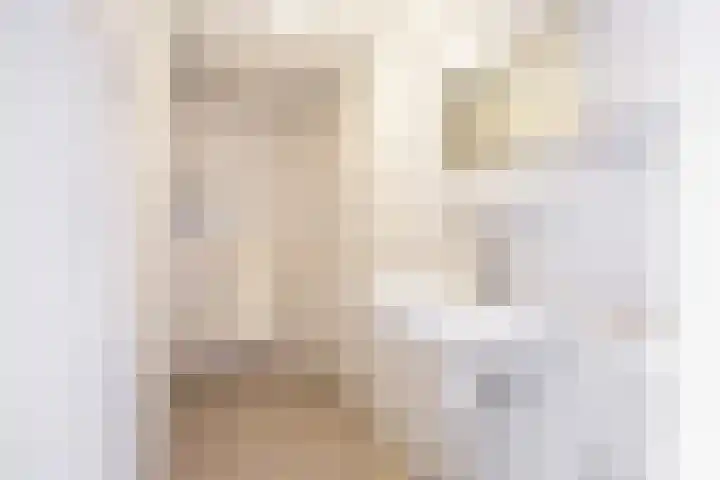 Westelijk Achterom 3 Tzum thumbnail 4