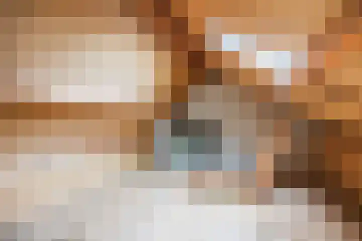 Westelijk Achterom 3 Tzum thumbnail 44