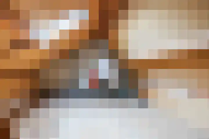 Westelijk Achterom 3 Tzum thumbnail 45