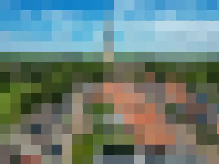 Westelijk Achterom 3 Tzum thumbnail 46