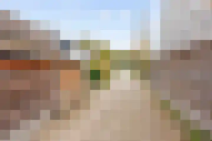 Westelijk Achterom 3 Tzum thumbnail 47