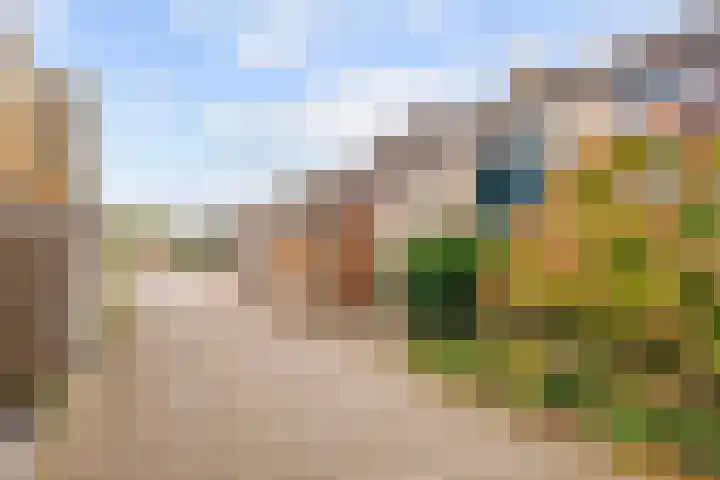 Westelijk Achterom 3 Tzum thumbnail 48