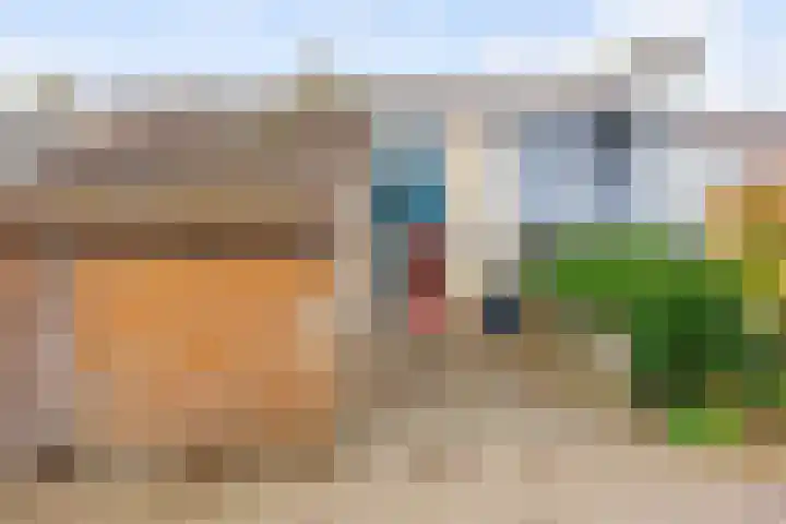 Westelijk Achterom 3 Tzum thumbnail 49