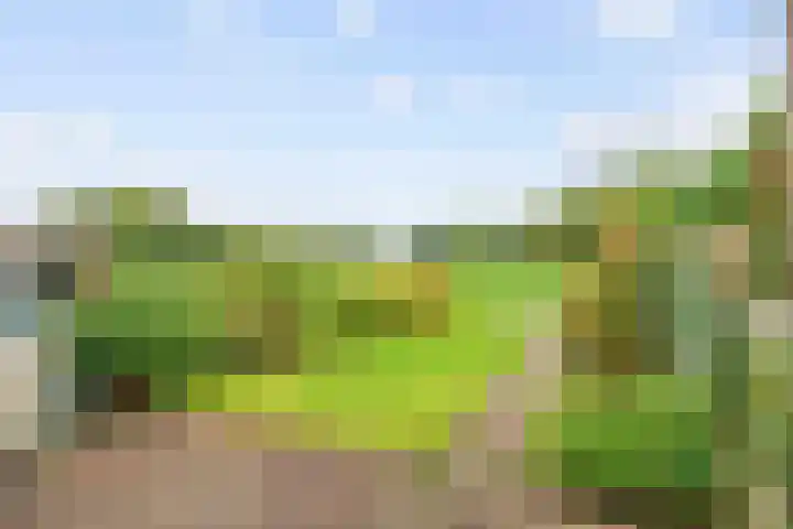 Westelijk Achterom 3 Tzum thumbnail 50