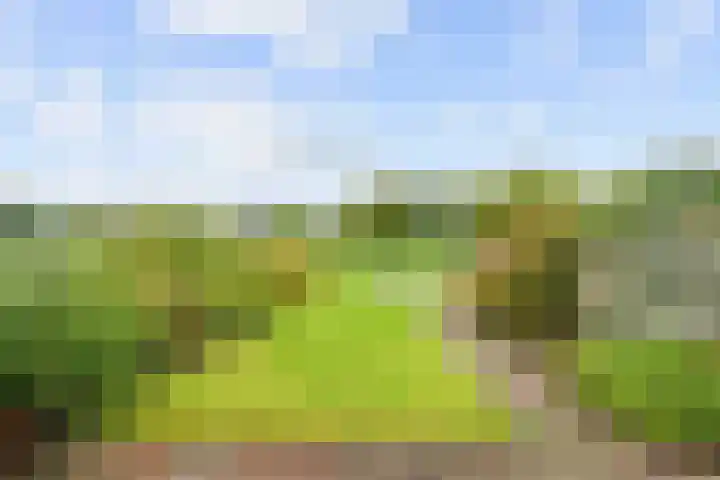 Westelijk Achterom 3 Tzum thumbnail 51