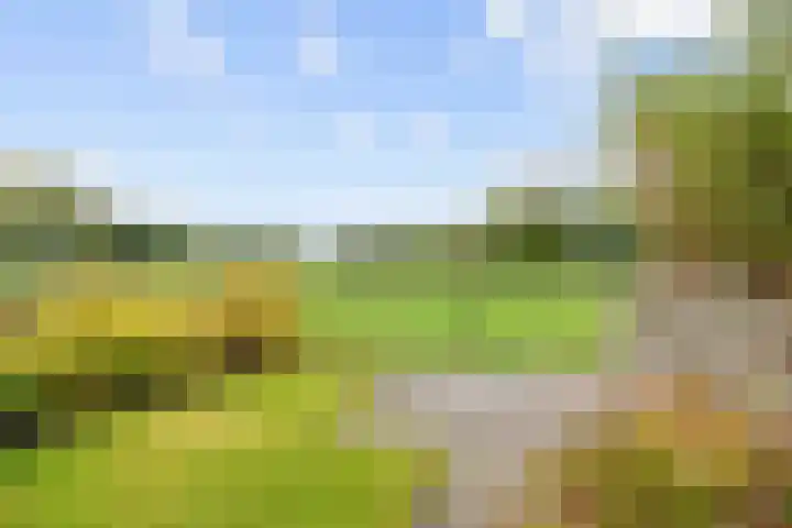 Westelijk Achterom 3 Tzum thumbnail 52