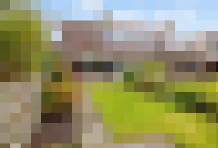 Westelijk Achterom 3 Tzum thumbnail 53