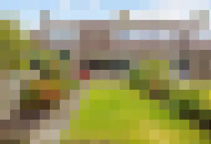Westelijk Achterom 3 Tzum thumbnail 54