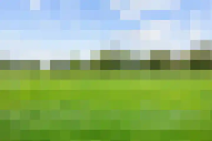 Westelijk Achterom 3 Tzum thumbnail 55