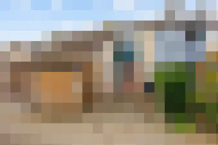 Westelijk Achterom 3 Tzum thumbnail 56