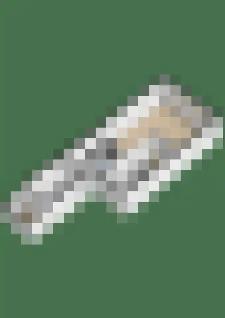 Westelijk Achterom 3 Tzum thumbnail 58