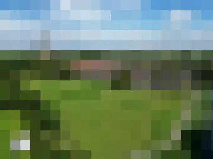 Westelijk Achterom 3 Tzum thumbnail 7