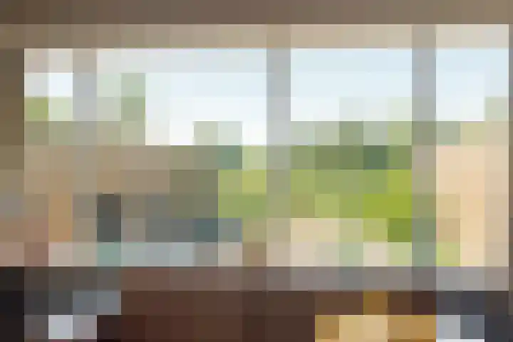 Westelijk Achterom 7 Tzum thumbnail 10