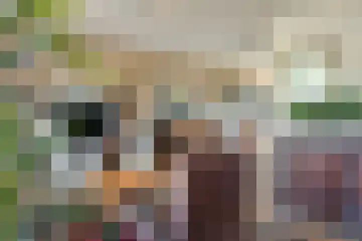 Westelijk Achterom 7 Tzum thumbnail 11