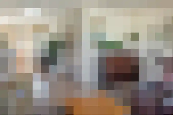 Westelijk Achterom 7 Tzum thumbnail 12