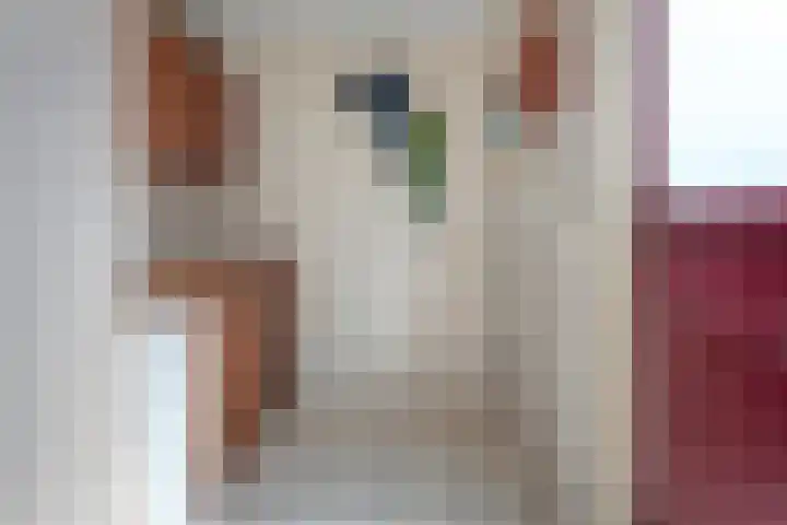 Westelijk Achterom 7 Tzum thumbnail 14