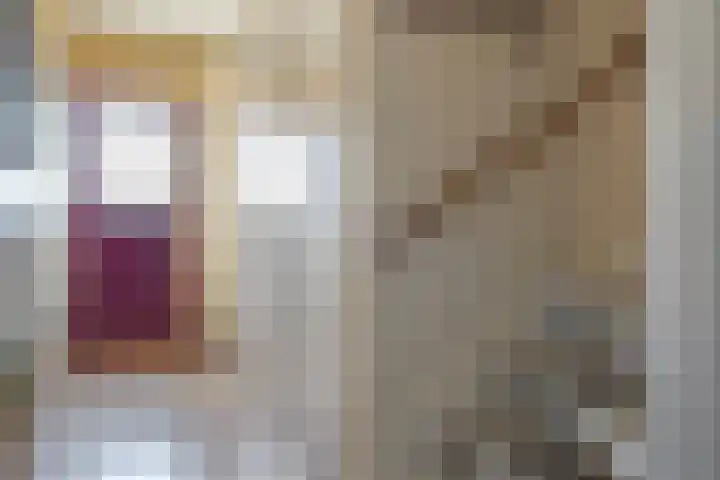 Westelijk Achterom 7 Tzum thumbnail 16
