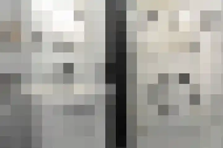 Westelijk Achterom 7 Tzum thumbnail 21