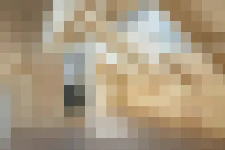 Westelijk Achterom 7 Tzum thumbnail 26