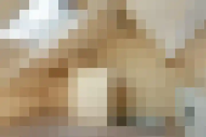 Westelijk Achterom 7 Tzum thumbnail 27