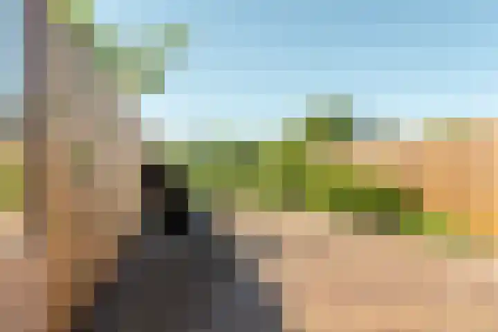 Westelijk Achterom 7 Tzum thumbnail 29