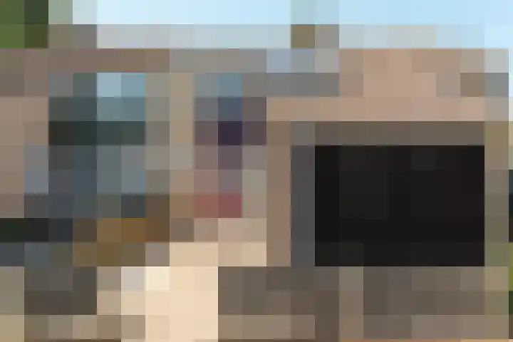 Westelijk Achterom 7 Tzum thumbnail 30