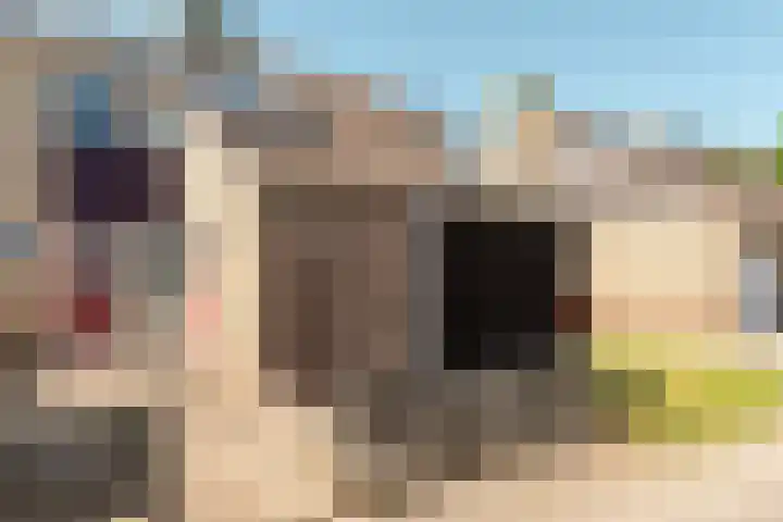Westelijk Achterom 7 Tzum thumbnail 31