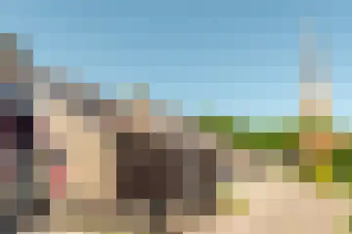 Westelijk Achterom 7 Tzum thumbnail 32