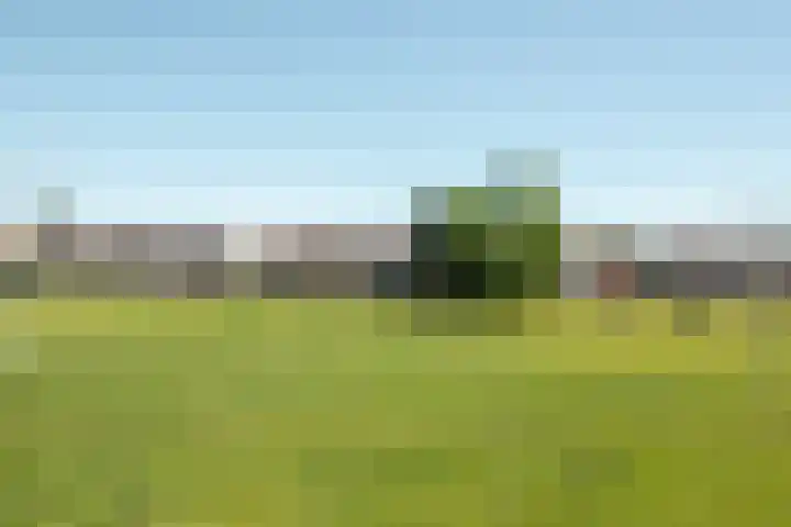 Westelijk Achterom 7 Tzum thumbnail 4