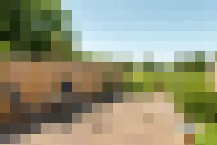 Westelijk Achterom 7 Tzum thumbnail 6