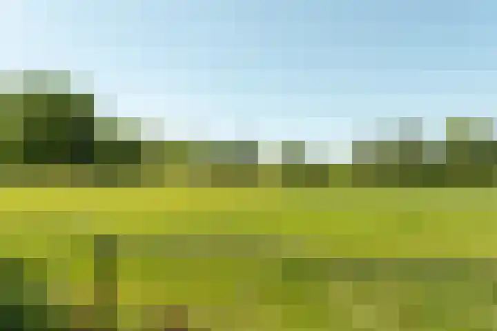 Westelijk Achterom 7 Tzum thumbnail 7